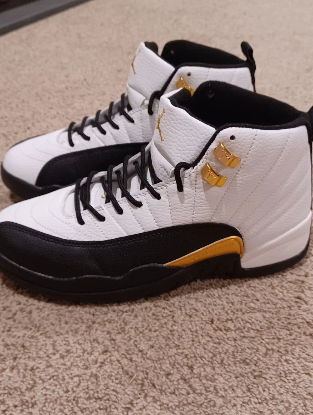 Air Jordan 12 Retro 